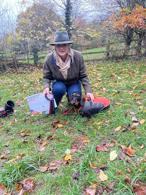 caroline-dachsund image